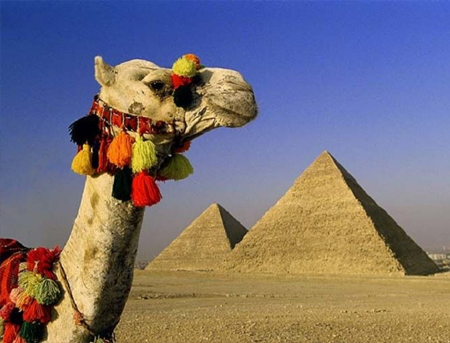 Indian Heritage Hospitality